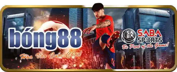 Các tính năng nổi bật của ok365vip